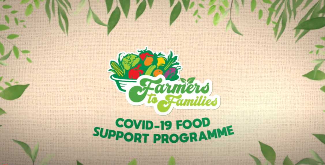 COVID-19 Food Support Program